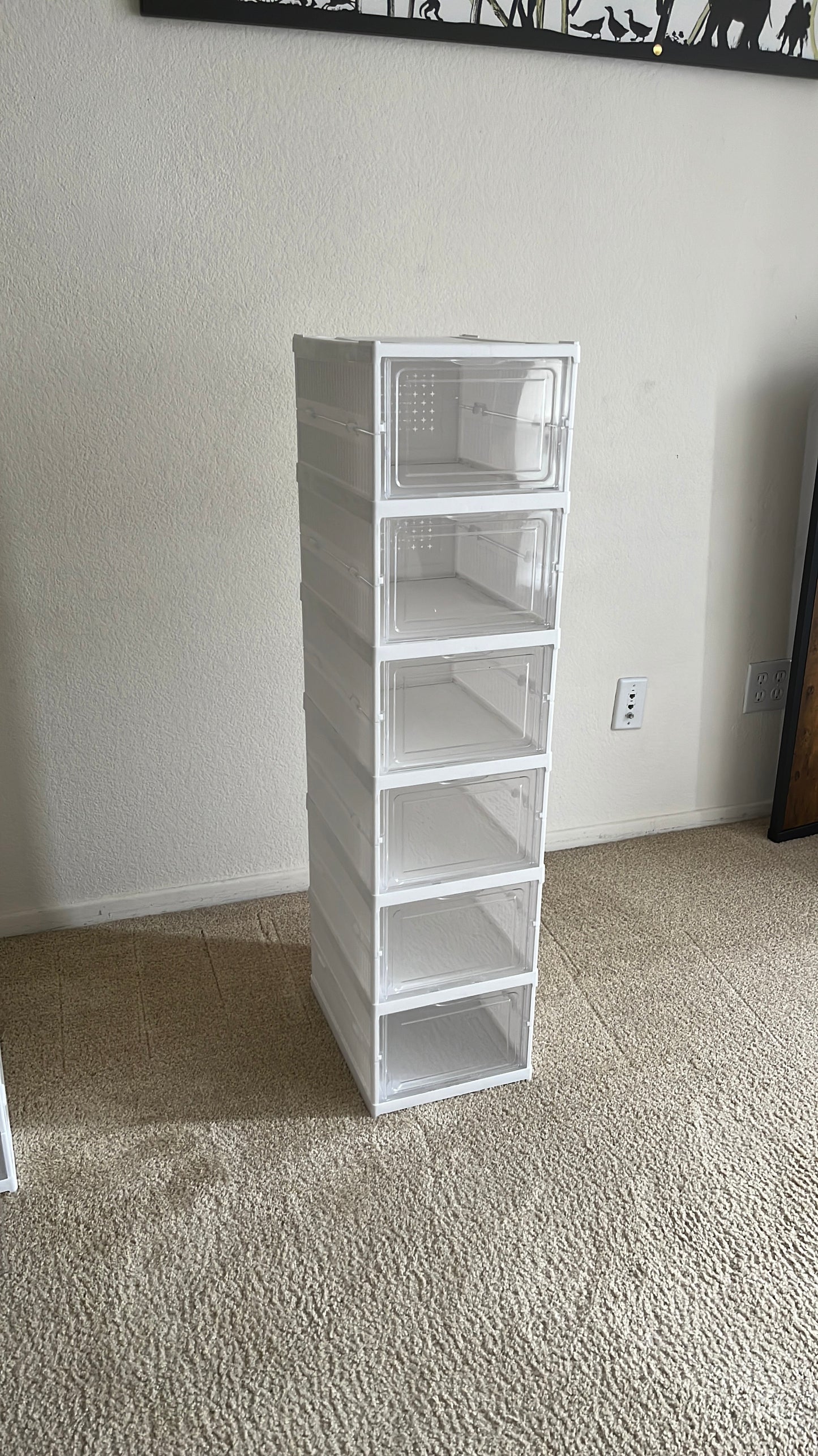 Shoe Organizer 6-Tier