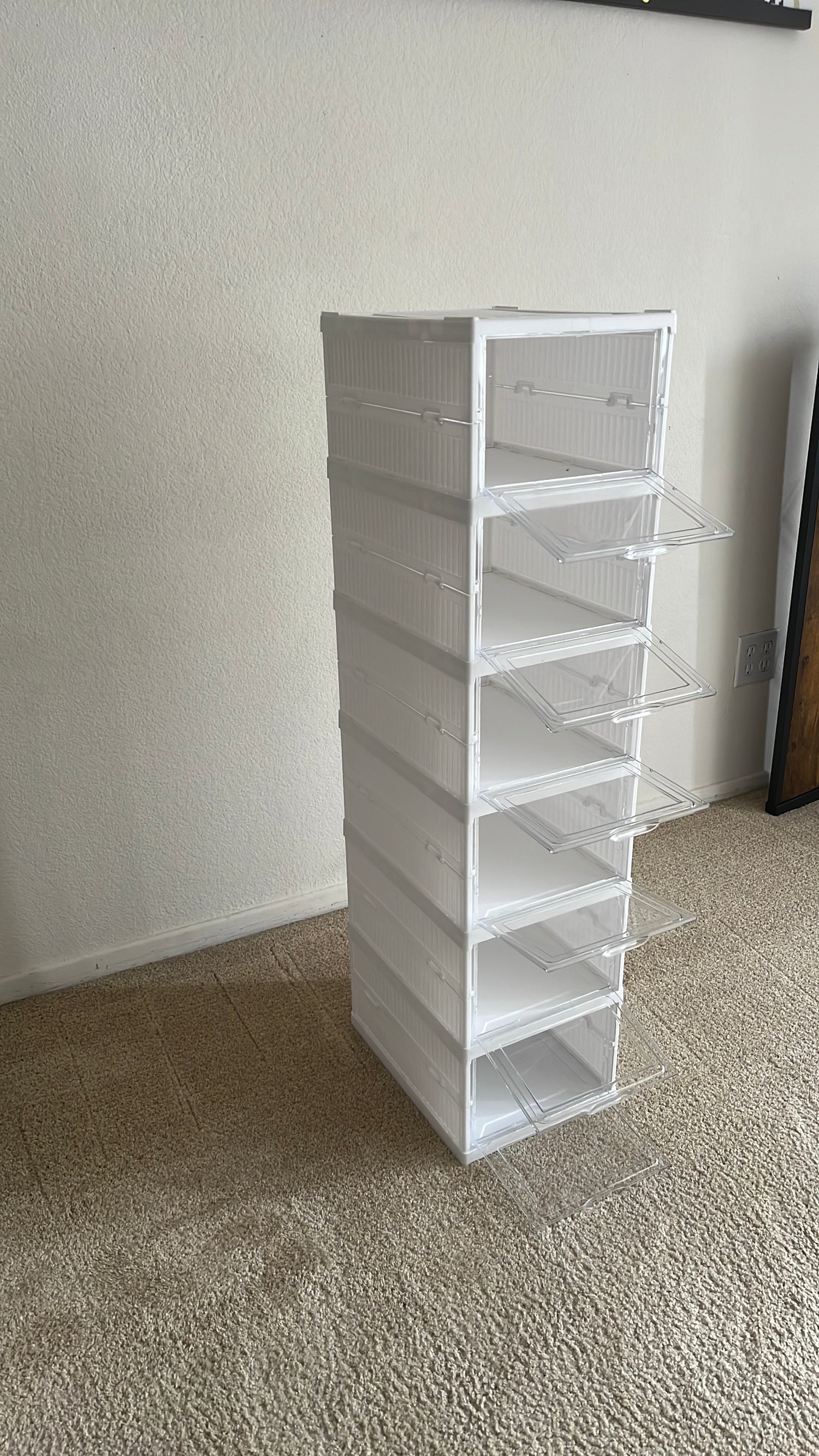 SHOE ORGANIZER